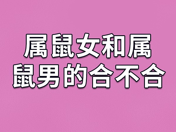 男81年10月23日属鼠两人还是挺相配的