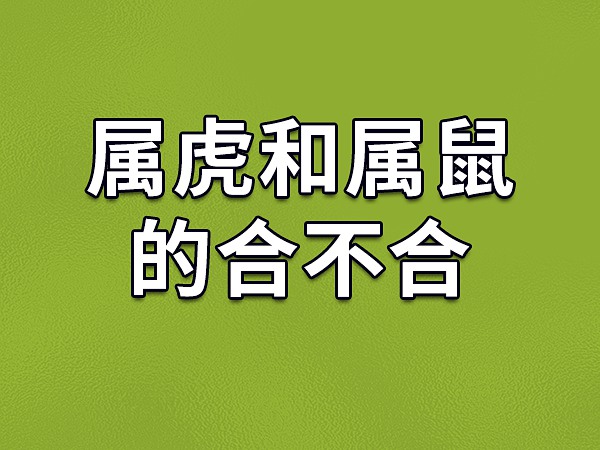 属蛇和属猪合财吗？解析二者财运的相似之处与合作关系